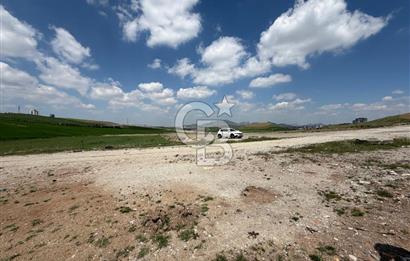 KUSUNLARIN EN GÜZEL BÖLGESİN DE SATILIK 500 M2 ARSA