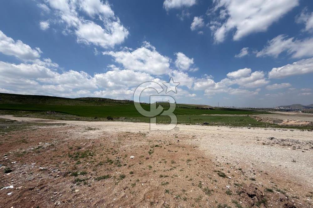 KUSUNLARIN EN GÜZEL BÖLGESİN DE SATILIK 500 M2 ARSA