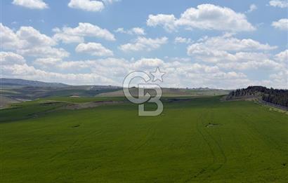 KUSUNLARIN EN GÜZEL BÖLGESİN DE SATILIK 500 M2 ARSA