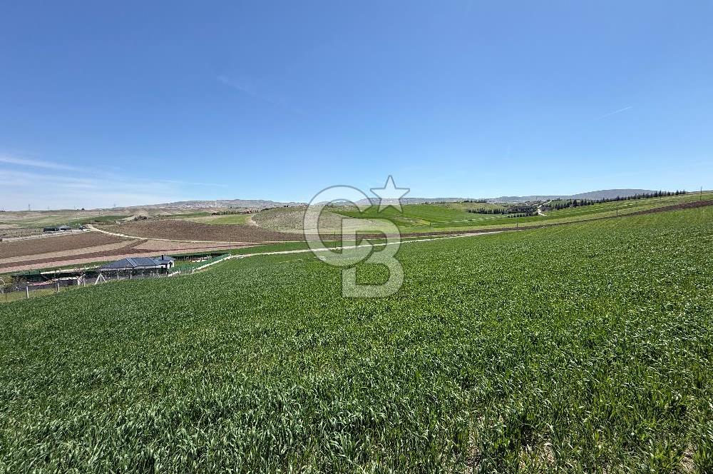 GÖLBAŞI BAHÇELİEVLER 3000m² Satılık Arsa (0.15 Emsal, 2 Villa)