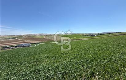 GÖLBAŞI BAHÇELİEVLER 3000m² Satılık Arsa (0.15 Emsal, 2 Villa)