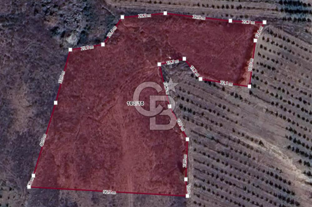 YAYLADAĞI-ÇABALA'DA *İMARLI* MÜSTAKİL- 9 DÖNÜM SATILIK ARSA