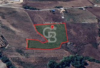 YAYLADAĞI-ÇABALA'DA *İMARLI* MÜSTAKİL- 9 DÖNÜM SATILIK ARSA - 1 - 348187