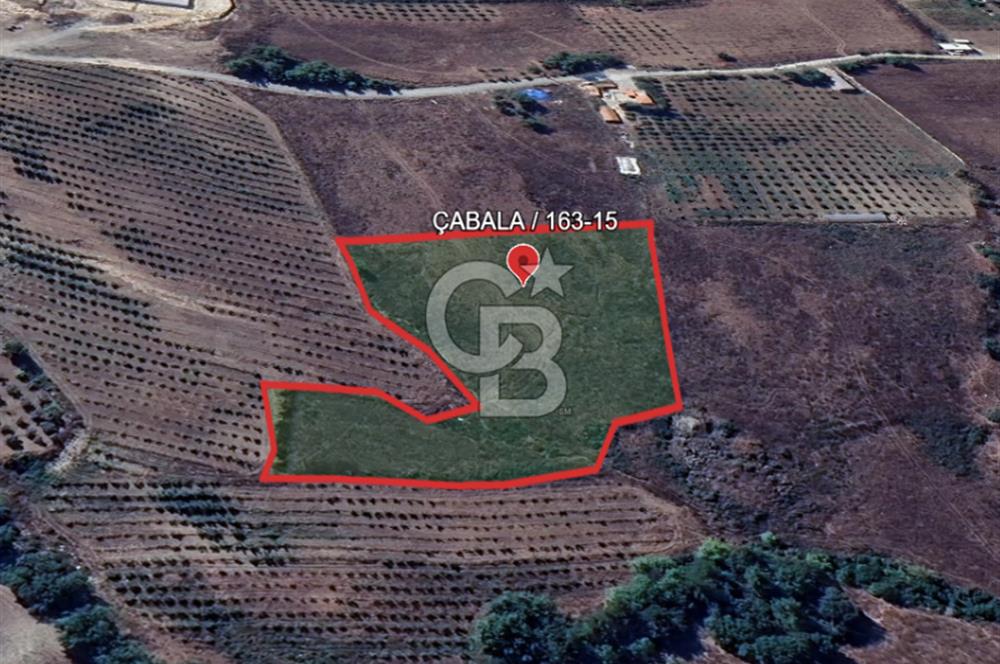 YAYLADAĞI-ÇABALA'DA *İMARLI* MÜSTAKİL- 9 DÖNÜM SATILIK ARSA