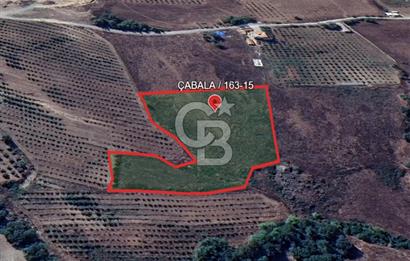 YAYLADAĞI-ÇABALA'DA *İMARLI* MÜSTAKİL- 9 DÖNÜM SATILIK ARSA