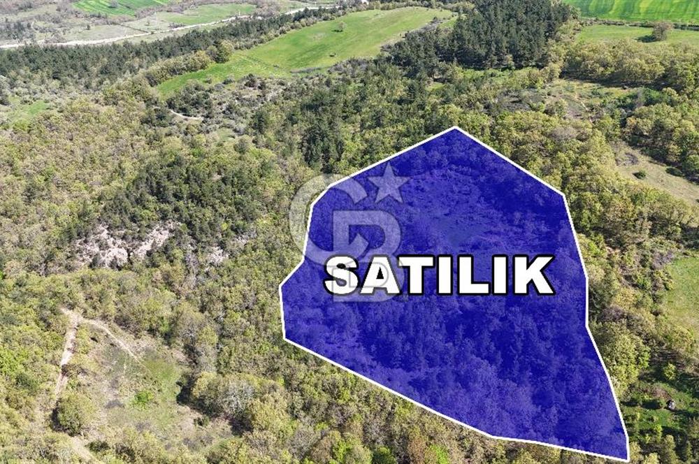 Çan Halilağa Köye 100m Mesafede Satılık Tarla