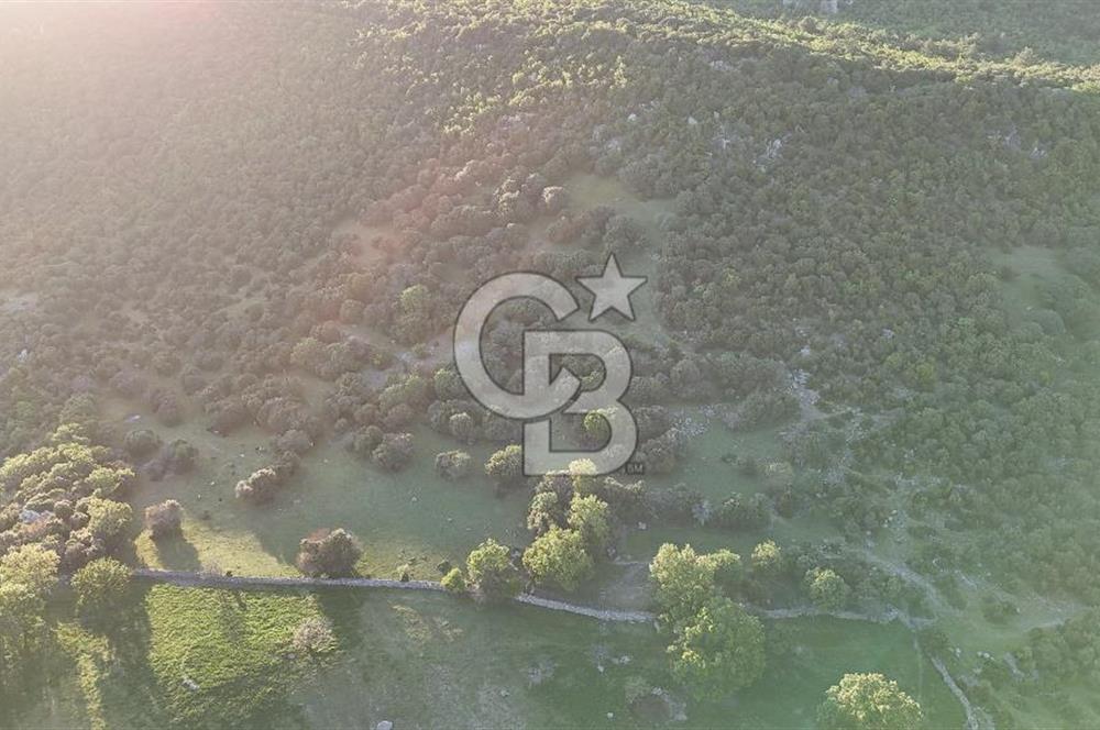 ÇANAKKALE AYVACIK KOZLU'DA DENİZ MANZARALI SATILIK TARLA