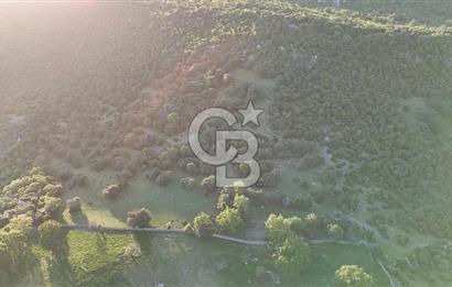 ÇANAKKALE AYVACIK KOZLU'DA DENİZ MANZARALI SATILIK TARLA