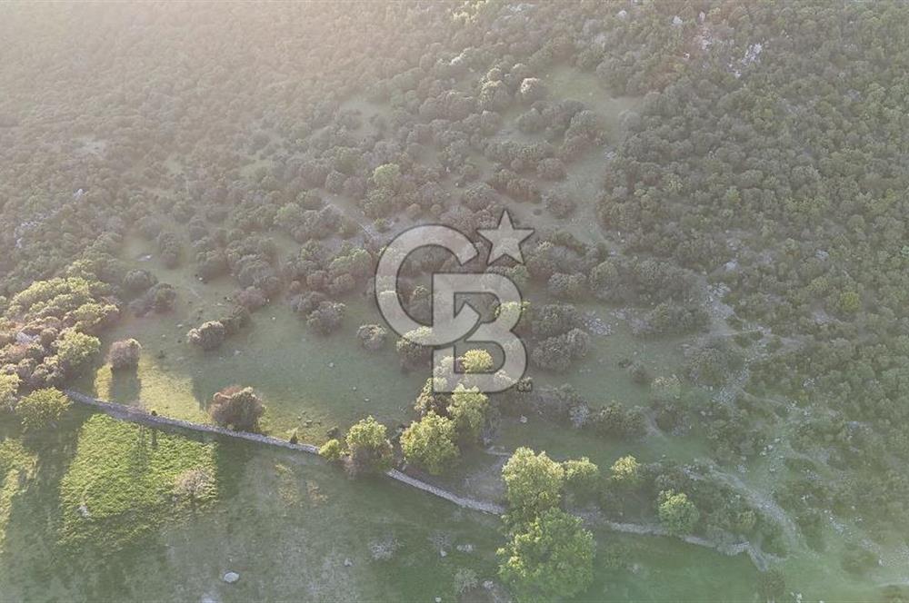 ÇANAKKALE AYVACIK KOZLU'DA DENİZ MANZARALI SATILIK TARLA