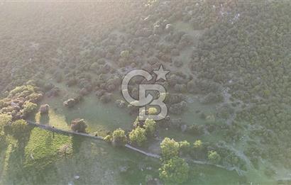 ÇANAKKALE AYVACIK KOZLU'DA DENİZ MANZARALI SATILIK TARLA