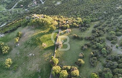 ÇANAKKALE AYVACIK KOZLU'DA DENİZ MANZARALI SATILIK TARLA