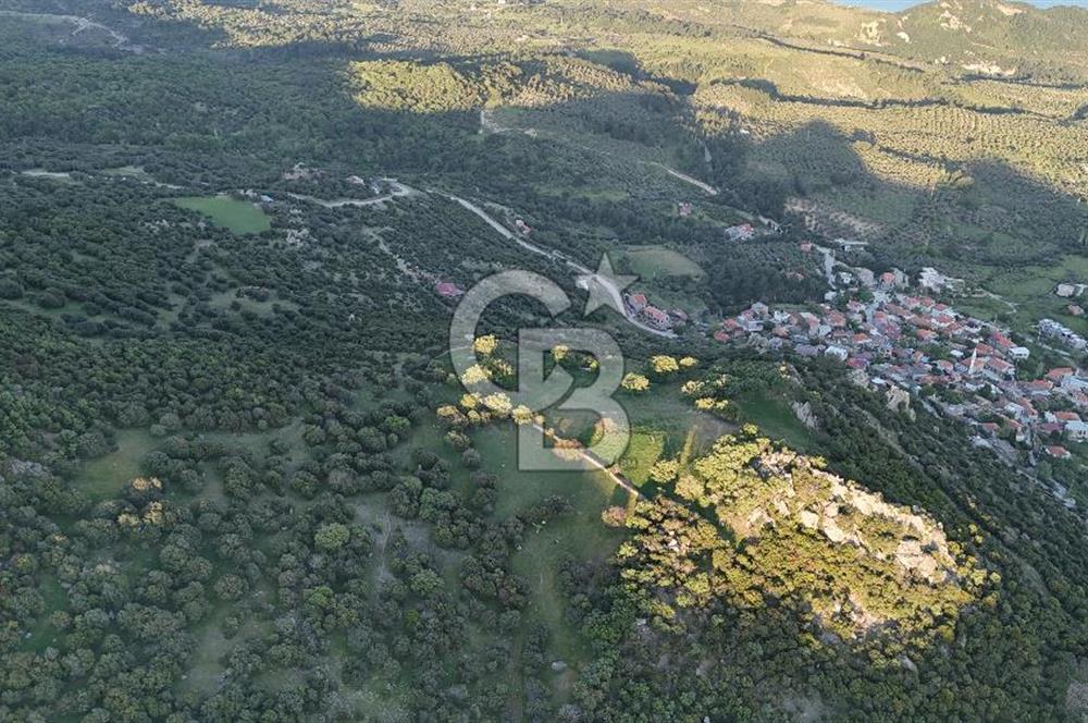 ÇANAKKALE AYVACIK KOZLU'DA DENİZ MANZARALI SATILIK TARLA