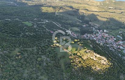 ÇANAKKALE AYVACIK KOZLU'DA DENİZ MANZARALI SATILIK TARLA