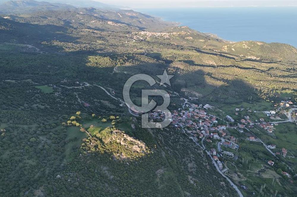 ÇANAKKALE AYVACIK KOZLU'DA DENİZ MANZARALI SATILIK TARLA
