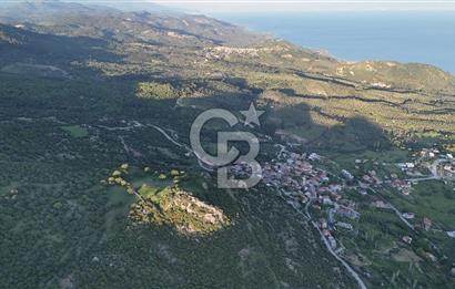 ÇANAKKALE AYVACIK KOZLU'DA DENİZ MANZARALI SATILIK TARLA