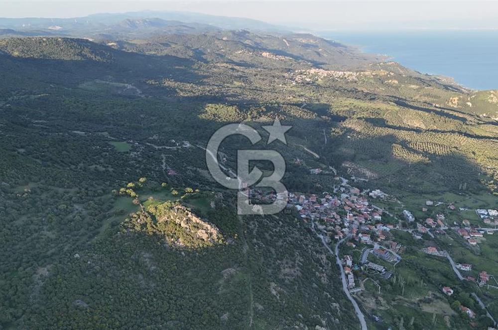ÇANAKKALE AYVACIK KOZLU'DA DENİZ MANZARALI SATILIK TARLA