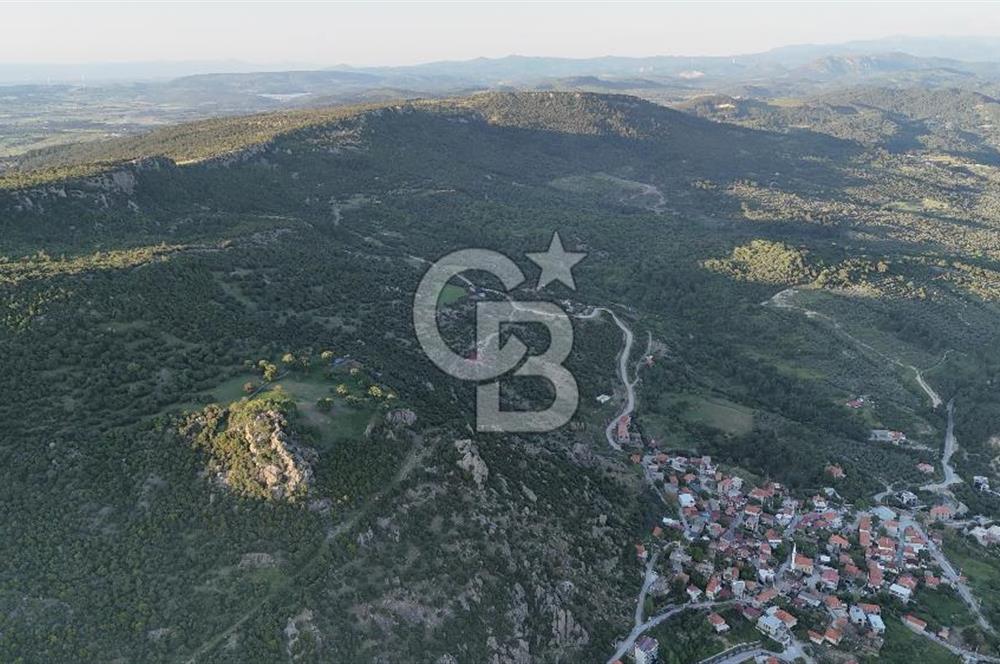 ÇANAKKALE AYVACIK KOZLU'DA DENİZ MANZARALI SATILIK TARLA