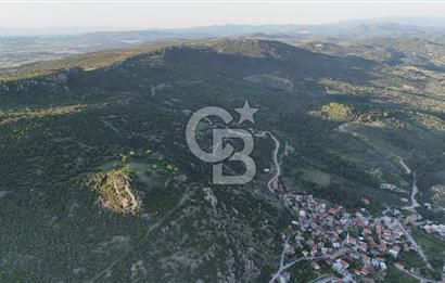 ÇANAKKALE AYVACIK KOZLU'DA DENİZ MANZARALI SATILIK TARLA