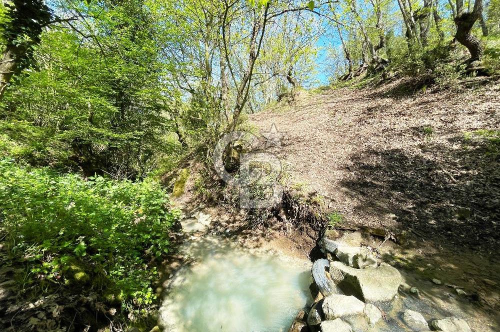 Çan Halilağa Köye 100m Mesafede Satılık Tarla