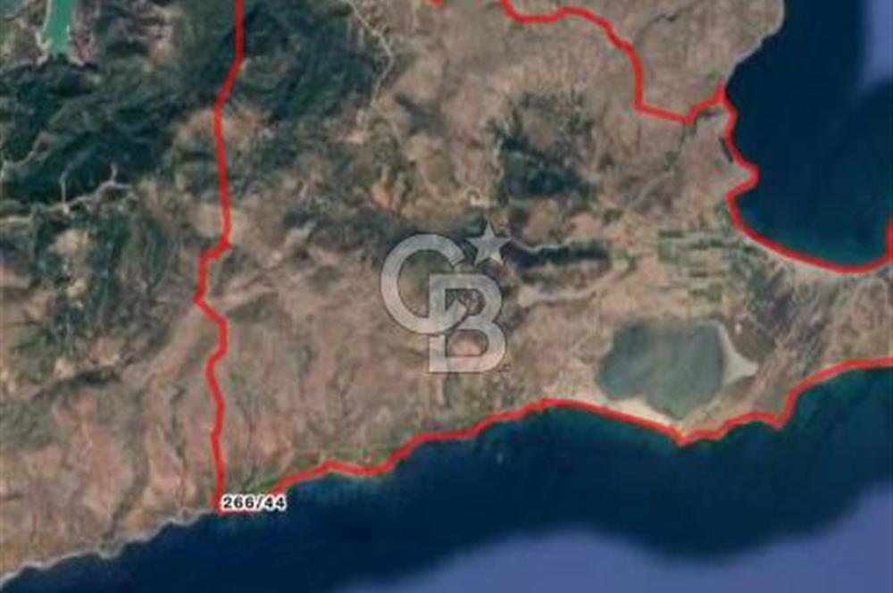 CB Vizyon Tevfik Baştürk'ten Gökçeada Çınarlı'da Satılık Tarla