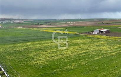 TEKİRDAĞ ÇORLU HATİP'TE HAVUZLU SİTE İÇERİSİNDE SATILIK 1+1