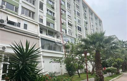 Atakent Efes Bloklarında Satılık Bakımlı 3+1 Daire