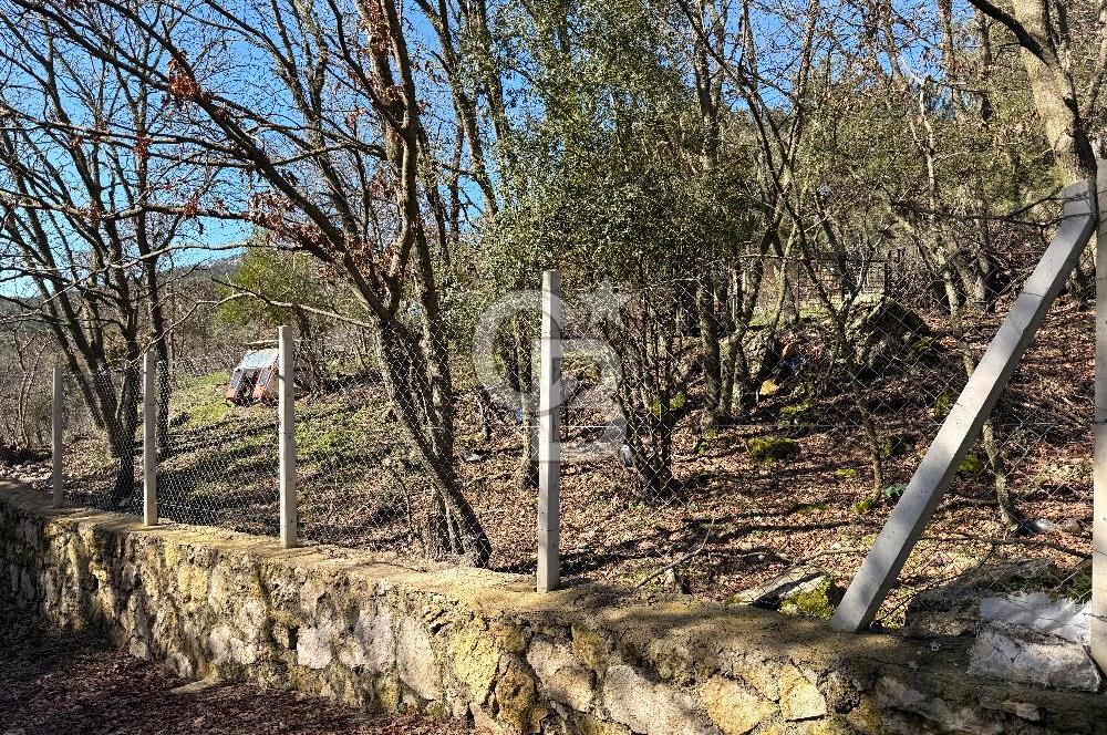 Çanakkale Ayvacık Sazlı’da 2100 m2 Satılık Arazi