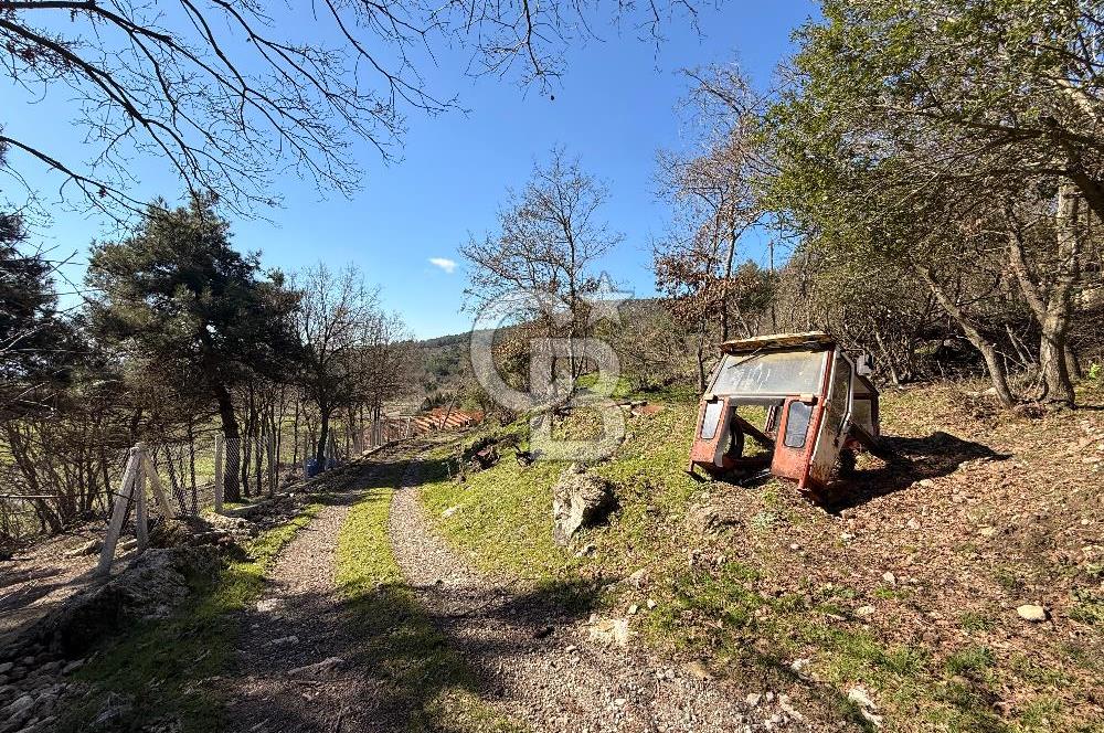 Çanakkale Ayvacık Sazlı’da 2100 m2 Satılık Arazi