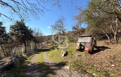 Çanakkale Ayvacık Sazlı’da 2100 m2 Satılık Arazi
