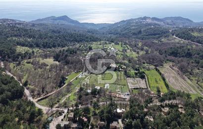 Çanakkale Ayvacık Sazlı’da 2100 m2 Satılık Arazi