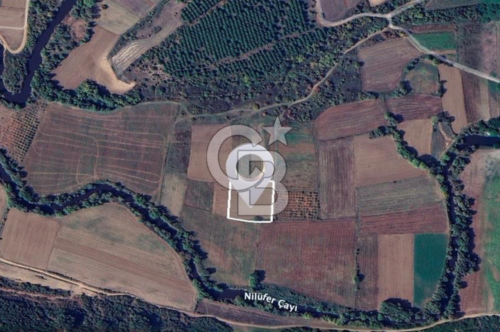 Karacabey Çeşnigir'de Yatırımlık 4.300 m² Tarla