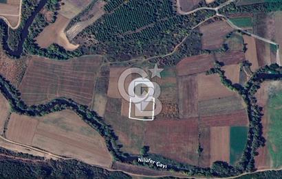 Karacabey Çeşnigir'de Yatırımlık 4.300 m² Tarla