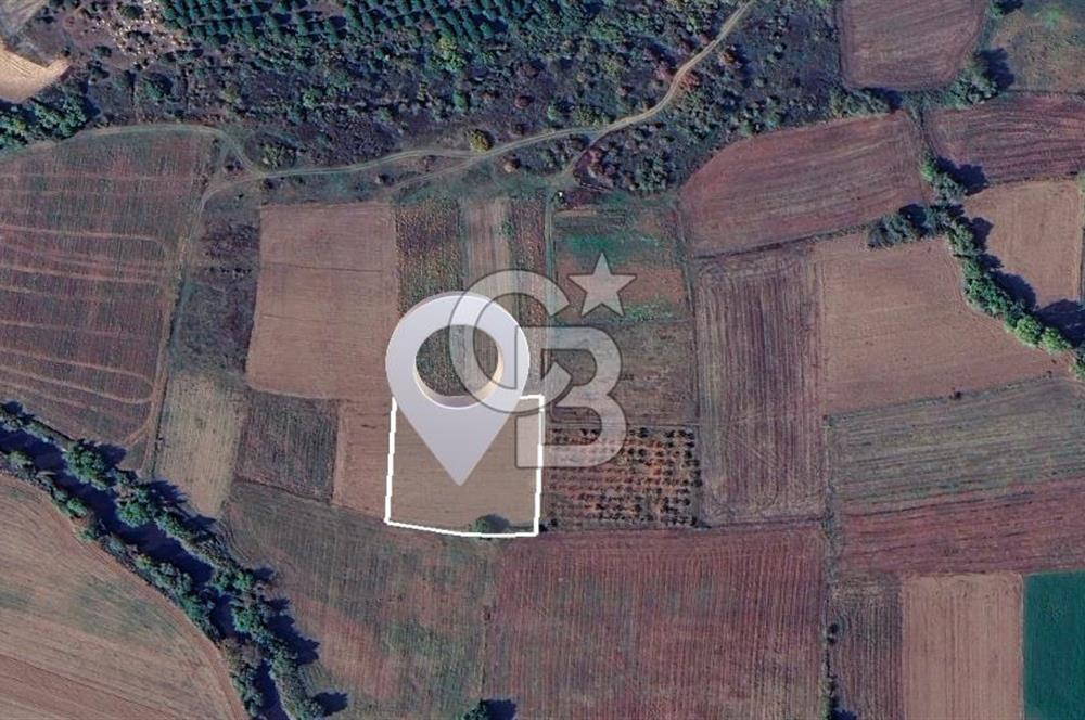 Karacabey Çeşnigir'de Yatırımlık 4.300 m² Tarla
