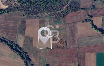 Karacabey Çeşnigir'de Yatırımlık 4.300 m² Tarla