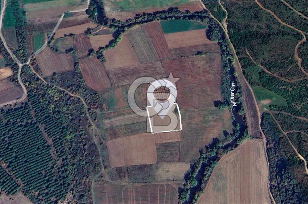 Karacabey Çeşnigir'de Yatırımlık 4.300 m² Tarla