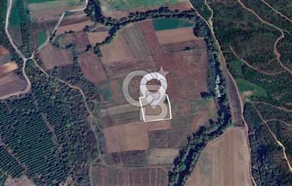 Karacabey Çeşnigir'de Yatırımlık 4.300 m² Tarla