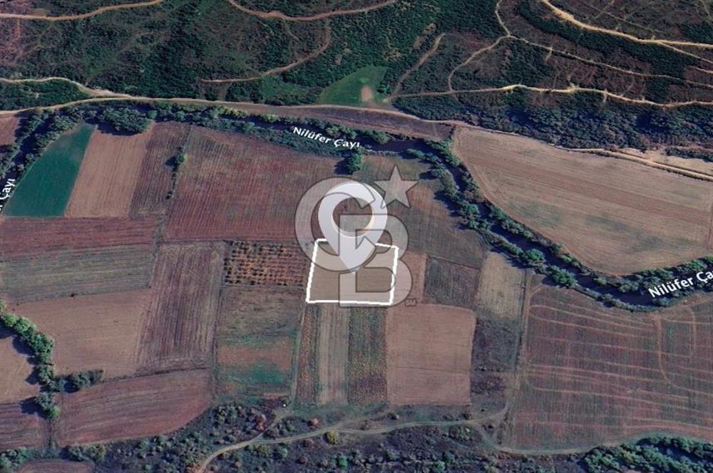 Karacabey Çeşnigir'de Yatırımlık 4.300 m² Tarla