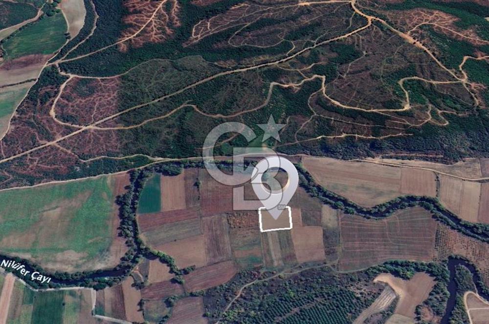 Karacabey Çeşnigir'de Yatırımlık 4.300 m² Tarla