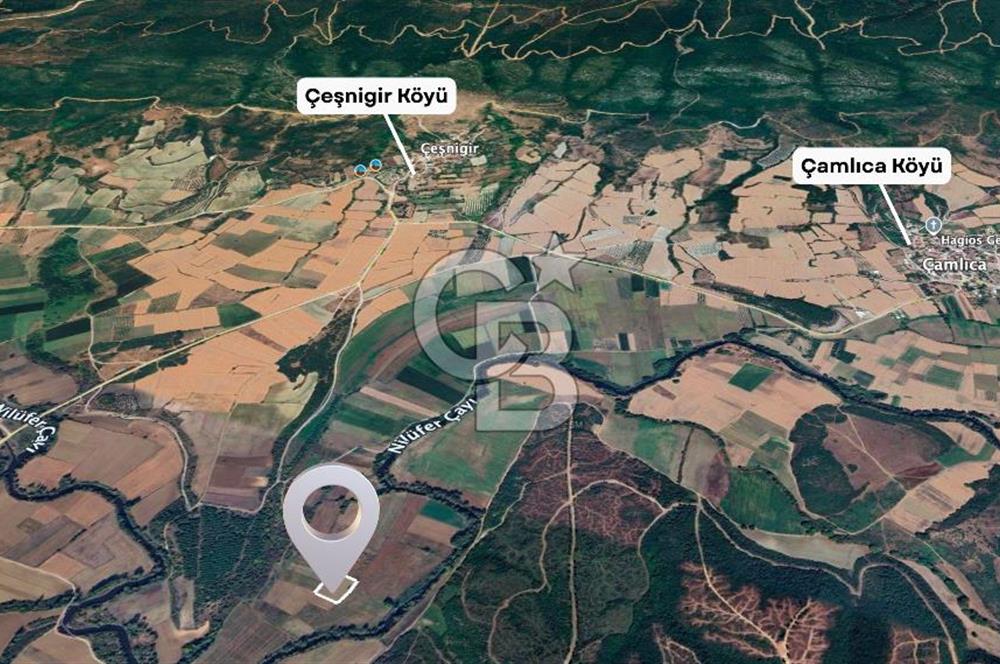Karacabey Çeşnigir'de Yatırımlık 4.300 m² Tarla