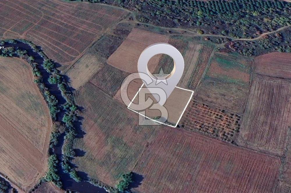 Karacabey Çeşnigir'de Yatırımlık 4.300 m² Tarla