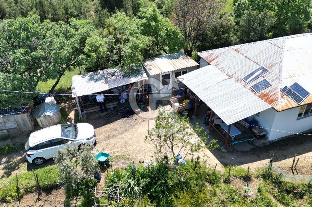ÇANAKKALE BAYRAMİÇ GÜZELTEPE KÖYÜNDE YAPI KAYIT BELGELİ ÇİFTLİK