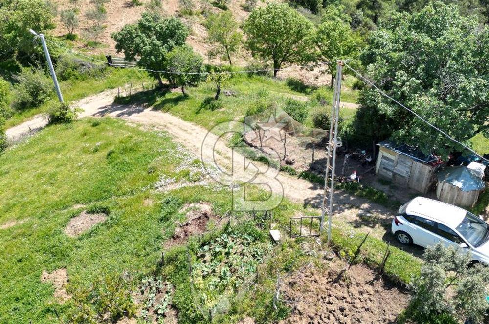 ÇANAKKALE BAYRAMİÇ GÜZELTEPE KÖYÜNDE YAPI KAYIT BELGELİ ÇİFTLİK