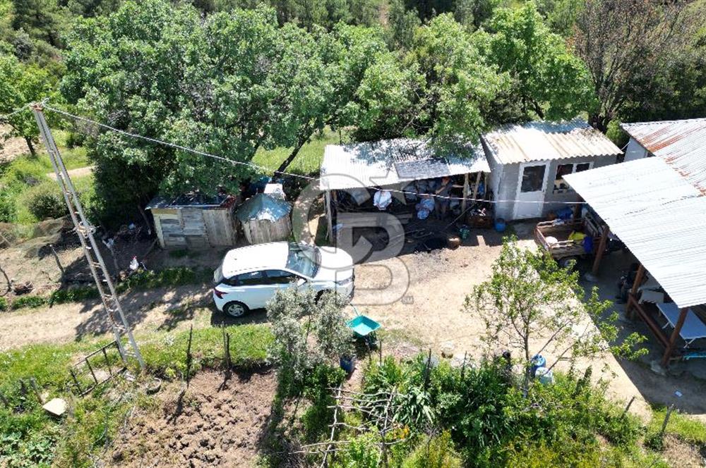 ÇANAKKALE BAYRAMİÇ GÜZELTEPE KÖYÜNDE YAPI KAYIT BELGELİ ÇİFTLİK