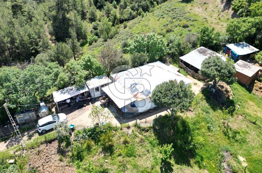 ÇANAKKALE BAYRAMİÇ GÜZELTEPE KÖYÜNDE YAPI KAYIT BELGELİ ÇİFTLİK