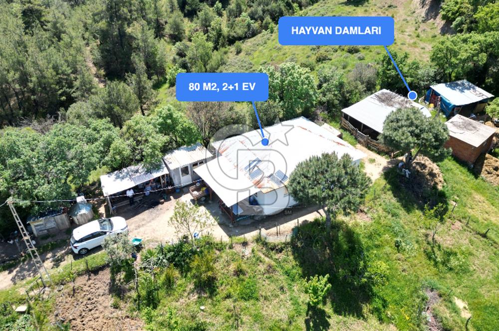 ÇANAKKALE BAYRAMİÇ GÜZELTEPE KÖYÜNDE YAPI KAYIT BELGELİ ÇİFTLİK