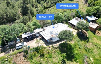 ÇANAKKALE BAYRAMİÇ GÜZELTEPE KÖYÜNDE YAPI KAYIT BELGELİ ÇİFTLİK