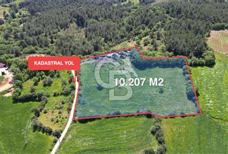 ÇANAKKALE BAYRAMİÇ GÜZELTEPE KÖYÜNDE YAPI KAYIT BELGELİ ÇİFTLİK - 4 - 348414