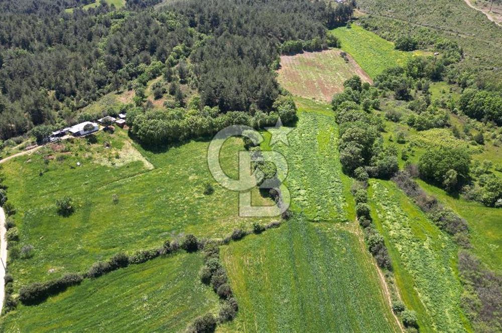 ÇANAKKALE BAYRAMİÇ GÜZELTEPE KÖYÜNDE YAPI KAYIT BELGELİ ÇİFTLİK