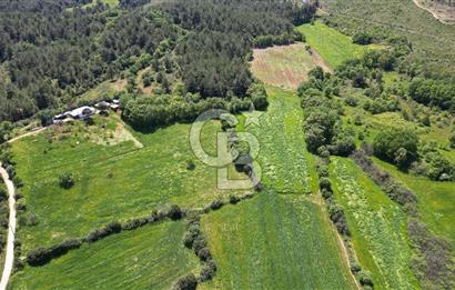ÇANAKKALE BAYRAMİÇ GÜZELTEPE KÖYÜNDE YAPI KAYIT BELGELİ ÇİFTLİK
