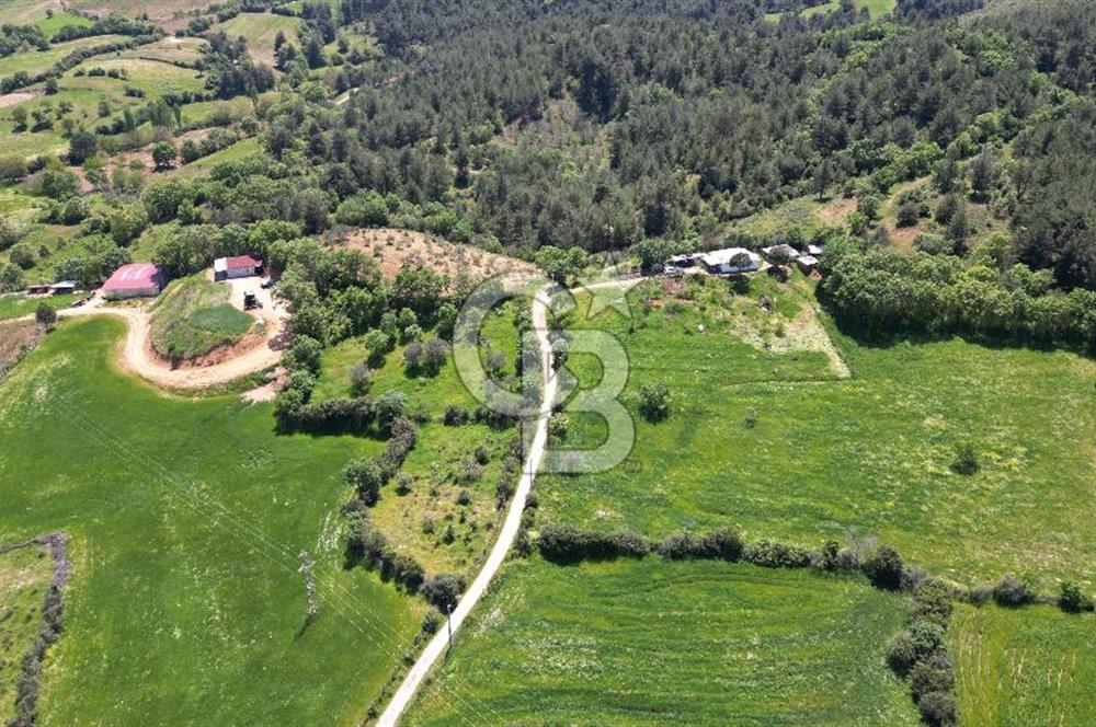ÇANAKKALE BAYRAMİÇ GÜZELTEPE KÖYÜNDE YAPI KAYIT BELGELİ ÇİFTLİK